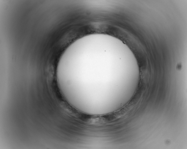 X0000103310752200809191917