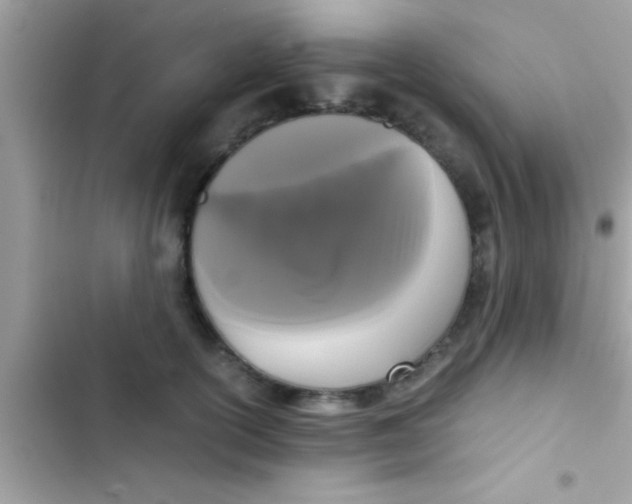 X0000103310754200809191917
