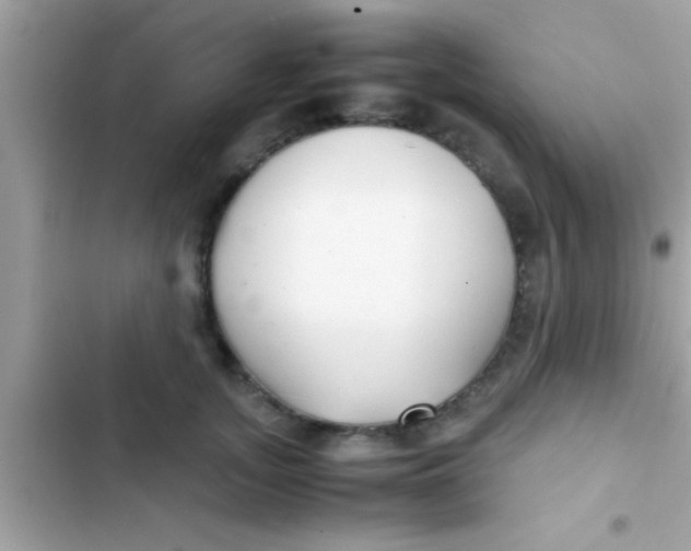 X0000103310755200809191917