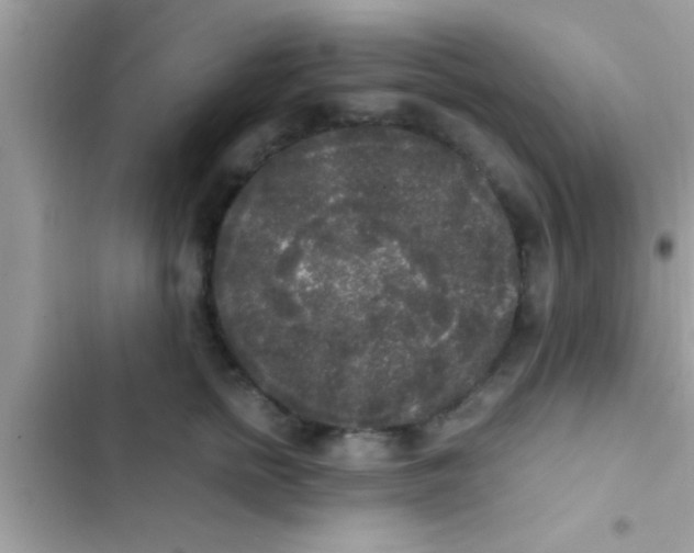 X0000103310758200809191917