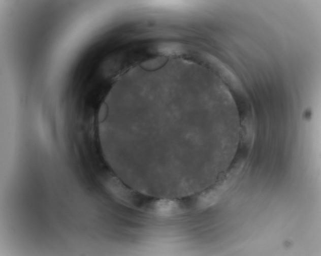 X0000103310762200809191917