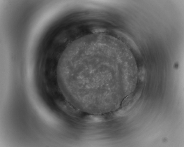 X0000103310763200809191917