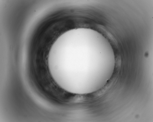 X0000103310764200809191917