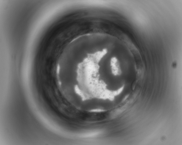 X0000103310765200809191917