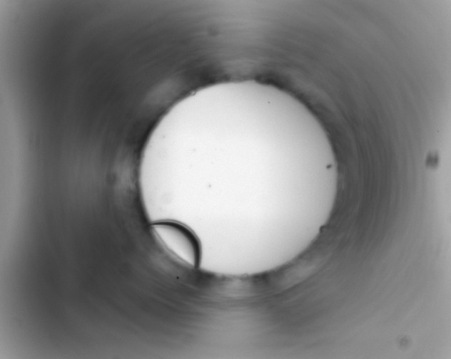 X0000103310768200809191917