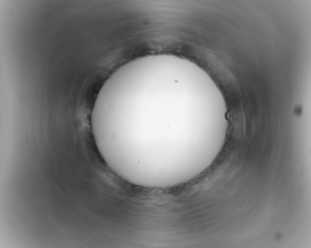 X0000103310770200809191917