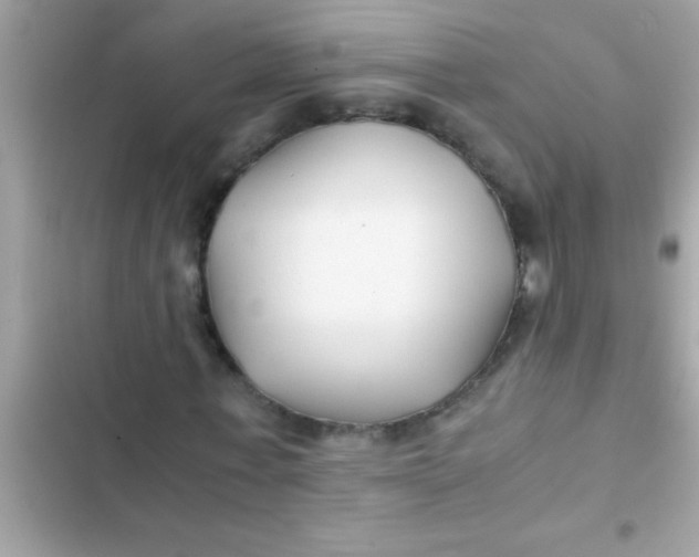 X0000103310771200809191917