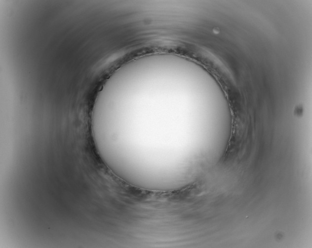 X0000103310773200809191917