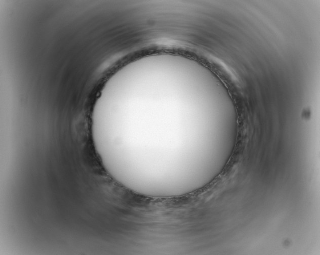 X0000103310776200809191917