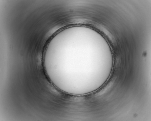 X0000103310778200809191917
