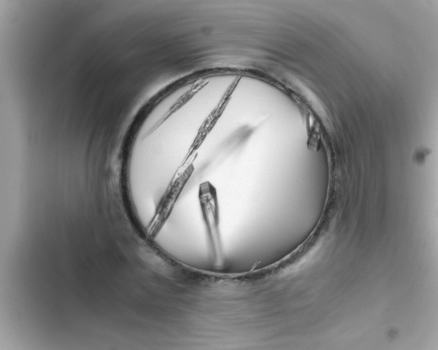 X0000103310779200809191917