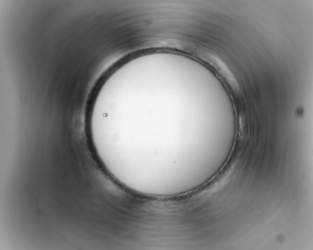 X0000103310780200809191917