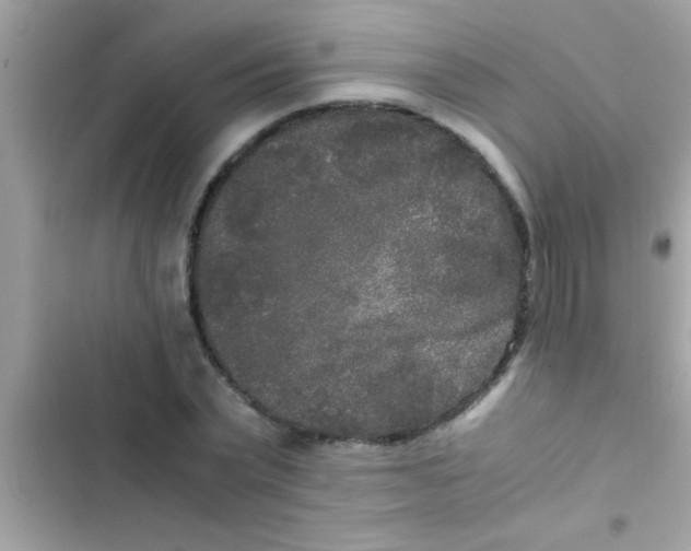 X0000103310783200809191917