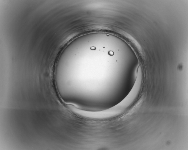 X0000103310785200809191917