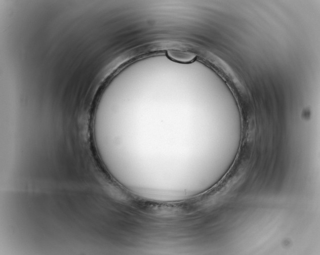 X0000103310786200809191917