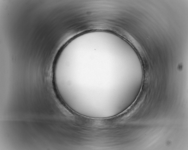X0000103310787200809191916