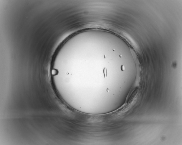 X0000103310788200809191916