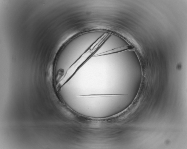 X0000103310790200809191916