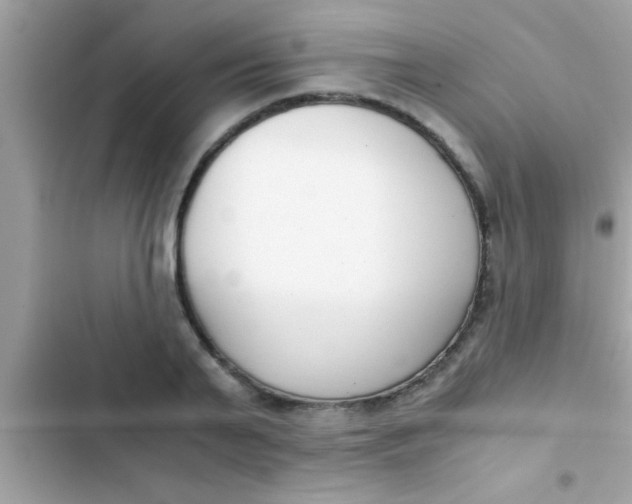 X0000103310791200809191916