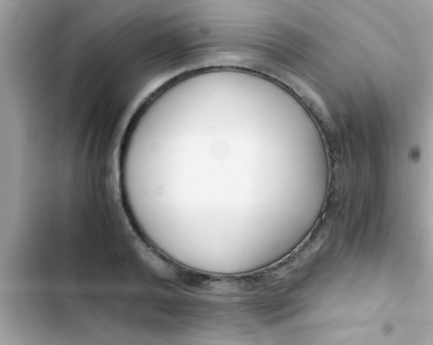X0000103310792200809191916