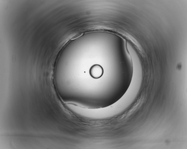 X0000103310793200809191916