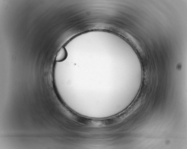 X0000103310794200809191916