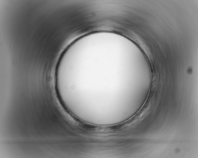 X0000103310795200809191916