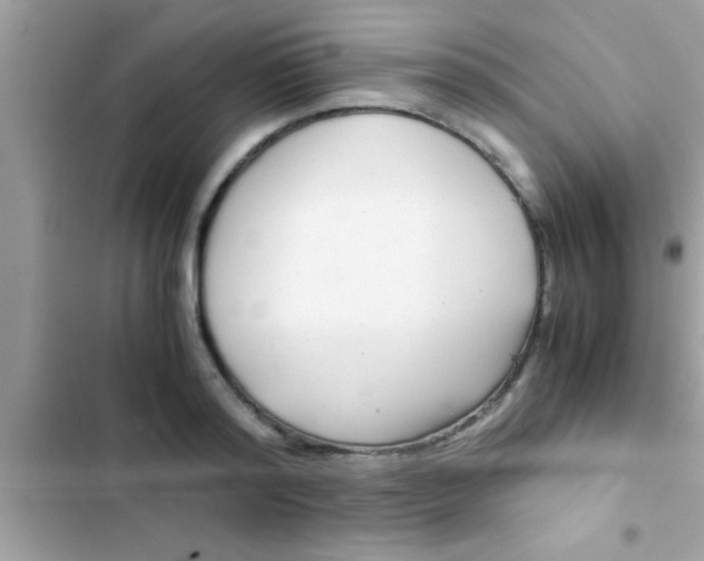 X0000103310796200809191916
