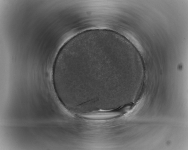 X0000103310797200809191916