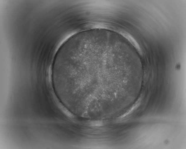 X0000103310798200809191916