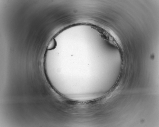 X0000103310799200809191916