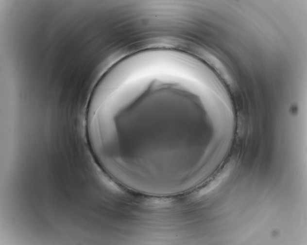 X0000103310802200809191916