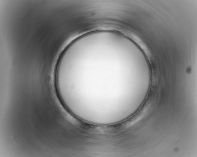 X0000103310803200809191916