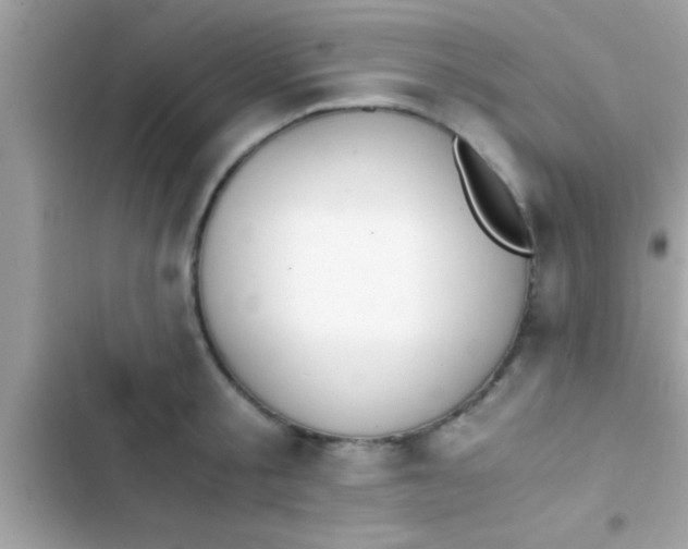 X0000103310805200809191916