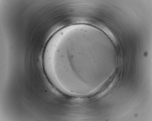 X0000103310806200809191916