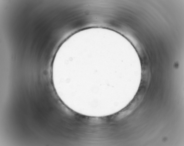 X0000103310807200809191916