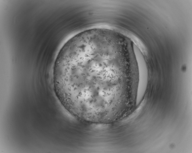 X0000103310808200809191916