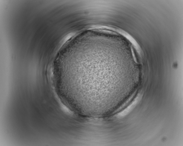 X0000103310809200809191916