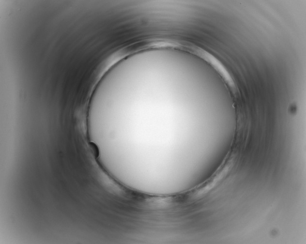 X0000103310810200809191916