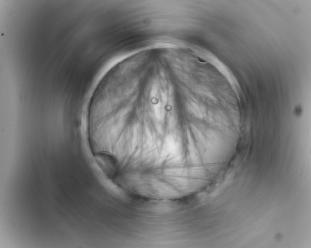 X0000103310811200809191916