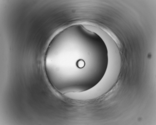 X0000103310813200809191916