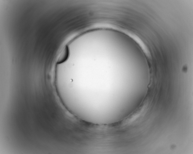 X0000103310815200809191916