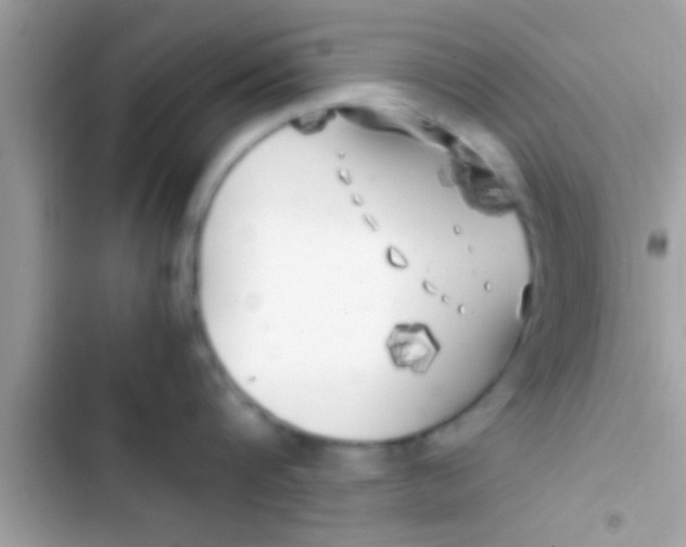 X0000103310816200809191916