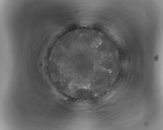 X0000103310817200809191915