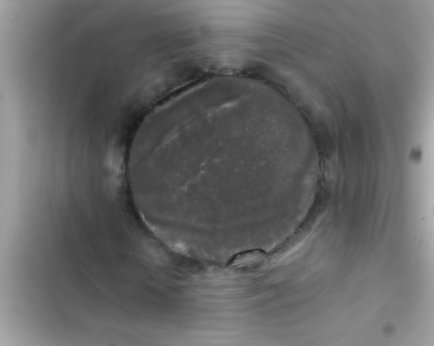 X0000103310818200809191915