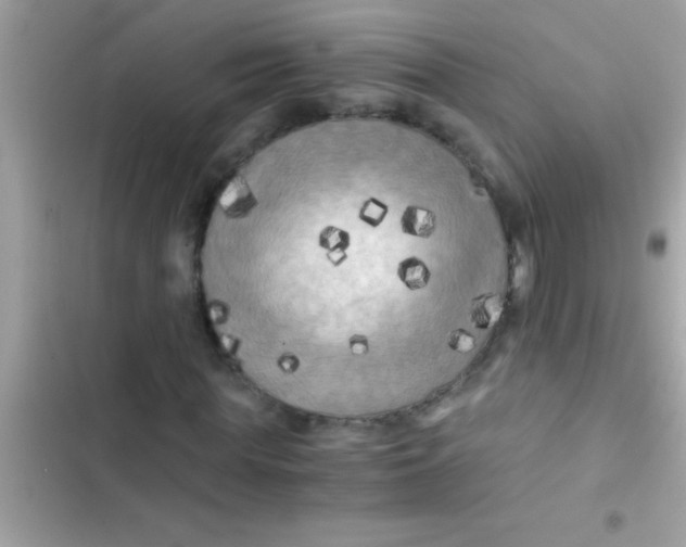 X0000103310819200809191915