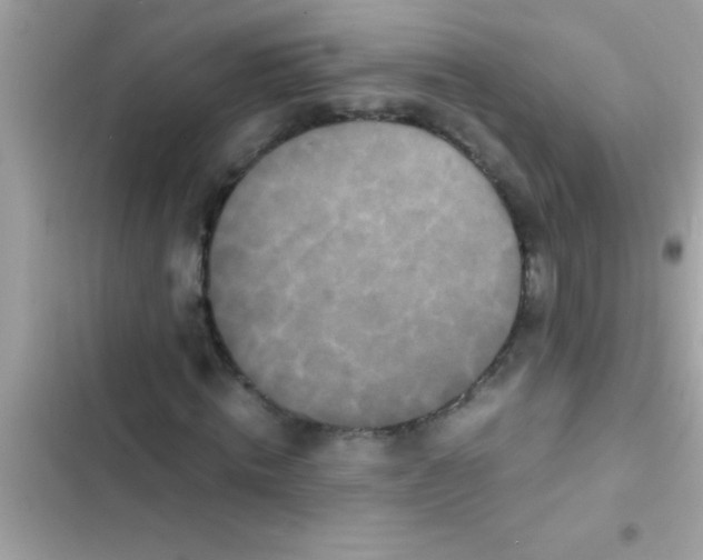 X0000103310820200809191915