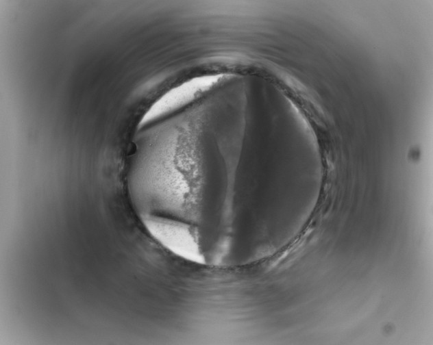 X0000103310822200809191915