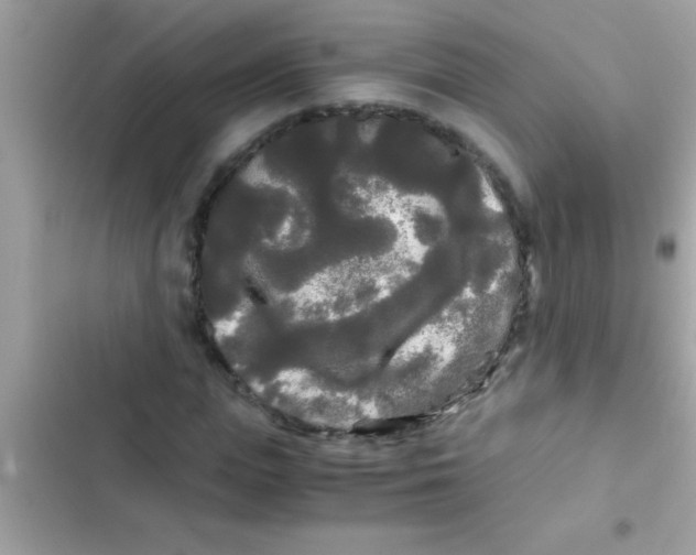 X0000103310823200809191915