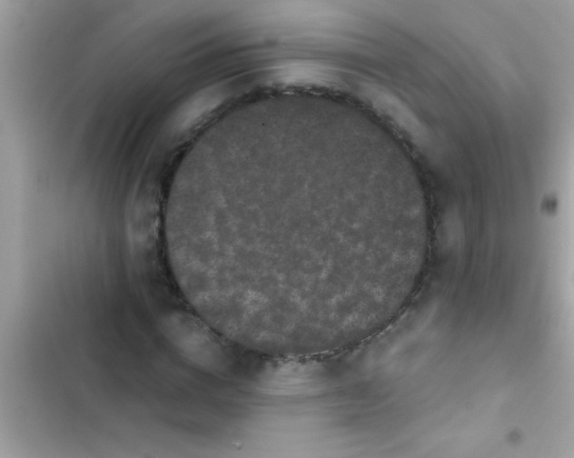X0000103310824200809191915